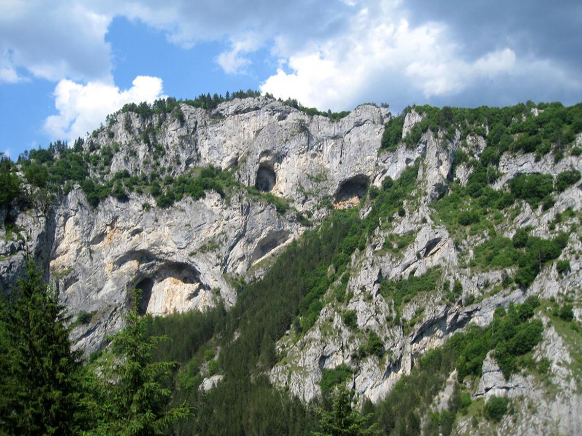 Къща Край Реката - Триград Dış mekan fotoğraf