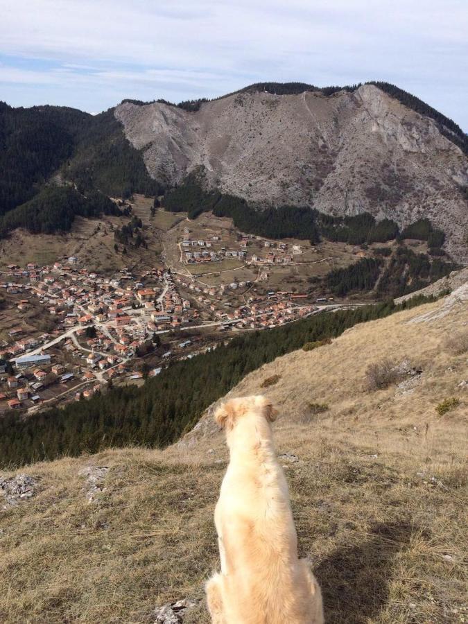 Къща Край Реката - Триград Dış mekan fotoğraf