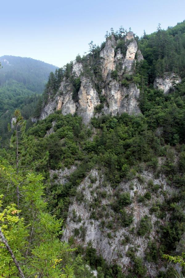 Къща Край Реката - Триград Dış mekan fotoğraf