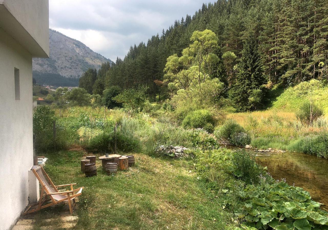 Къща Край Реката - Триград Dış mekan fotoğraf